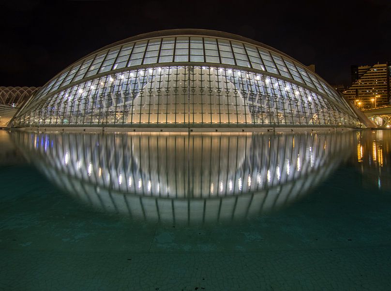 City of Arts and Sciences (Valencia)  von Bert Meijer