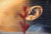 focus op gezicht op de muur