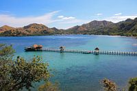 Ein Paradies für Taucher