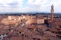 Vue de Sienne Piazza del Campo, Italie 