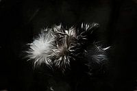 Ein Ende und ein Anfang