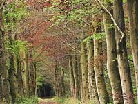 Zone der Stille Plantoon Waalwijk