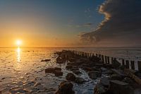 Sonnenaufgang Wattenmeer Texel