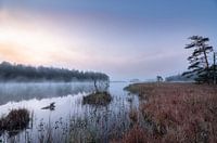 Mystische Morgenstimmung am Ostersee