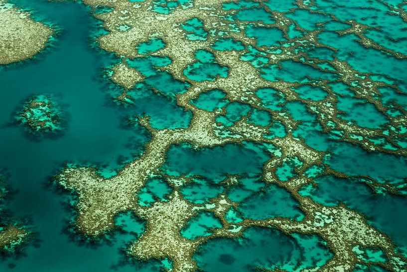 Gondwana von Karsten Wrobel