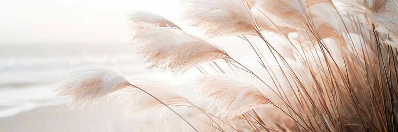 Poetry by the sea - Pampas grass in detail by Melanie Viola
