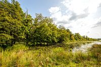 Fochteloërveen nature reserve