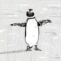 Glücklicher Pinguin