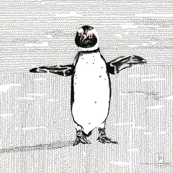 Happy Penguin by Carmen de Bruijn