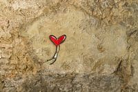 Street art in Florence