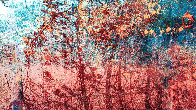 Rouge et bleu par Anna Hiemstra