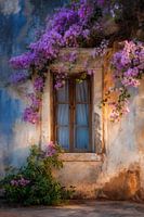 Charming Rustic Window with Flowers