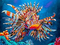 Majestätischer Rotfeuerfisch