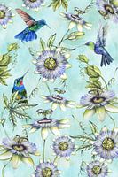 Hummingbirds passion flower