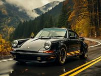 Schwarzer Porsche in Berglandschaft_2