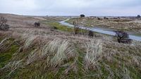 Landschaft Ameland