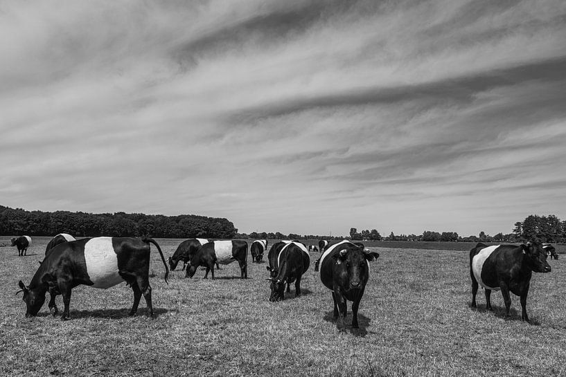 Lakenvelder von Anjo ten Kate