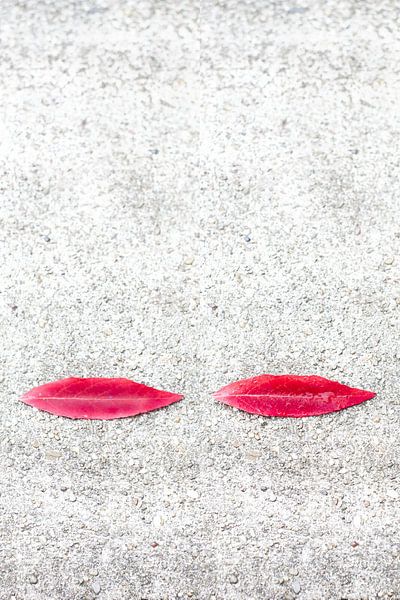 Rosarote Lippen von Wim Stolwerk