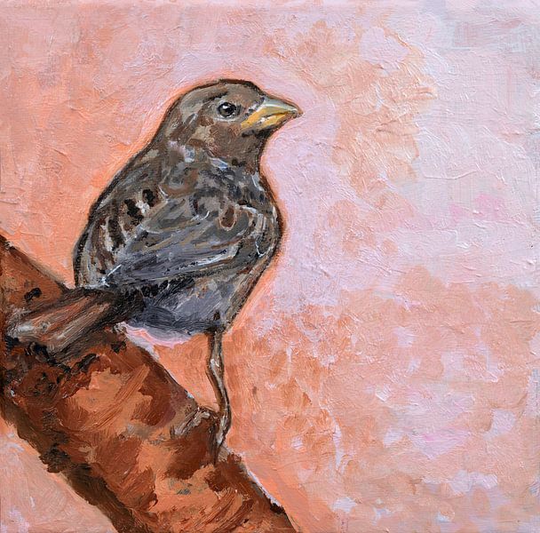 Moineau femelle par Tanja Koelemij