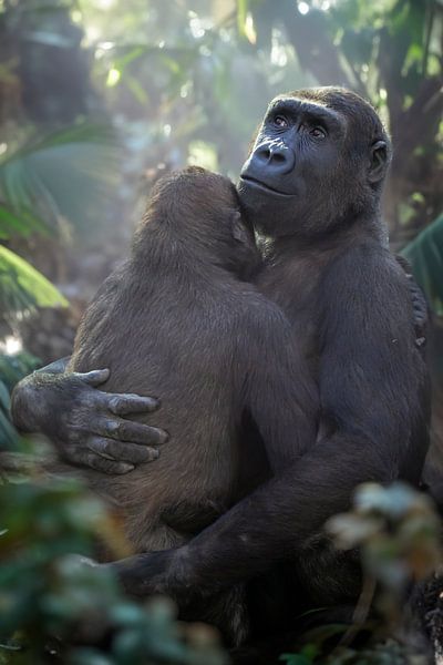 Embrasser par Edwin Butter