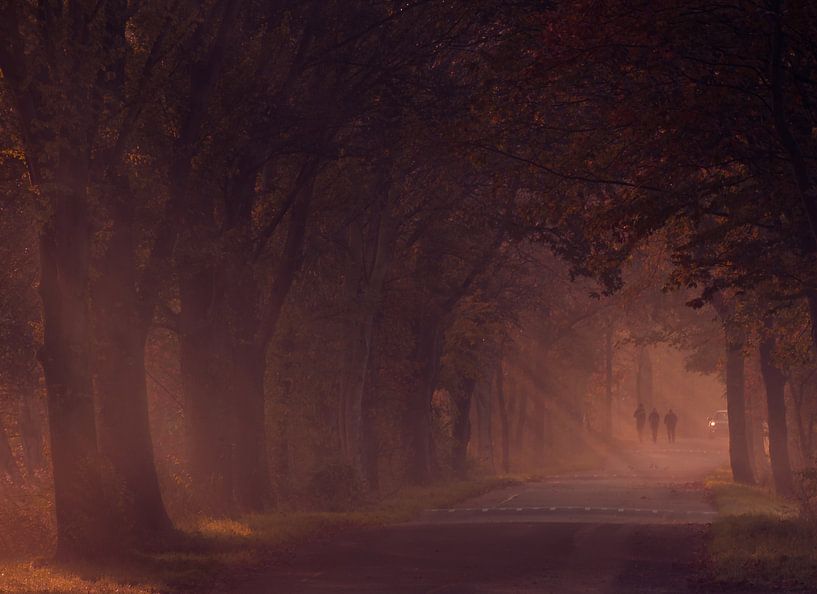 Foggy morning Broekpolder by Karen de Geus