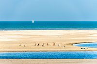 Sommerliche Strandszene mit Fußball spielenden Jungen am Sandmotorstrand bei Kijkduin.