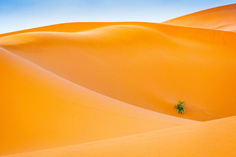 Abstraktion in der Wüste von Sam Mannaerts