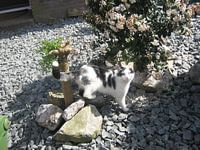 Kom ik er wel mooi op?