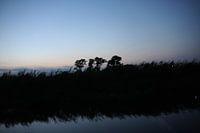 Das Spiegelbild der Bank