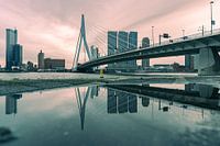 Erasmusbrücke & die Reflexion