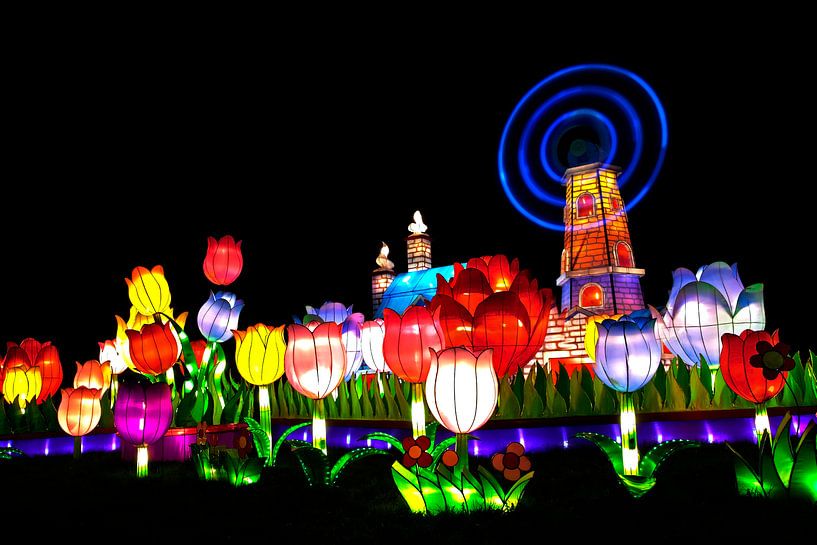 Chinese tulpen par Jan van der Knaap