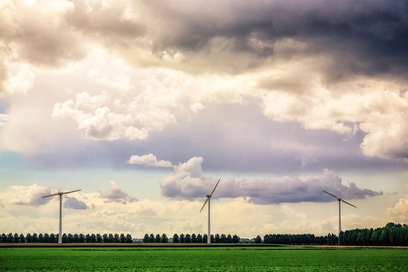 Kein Titel I von Cho Tang