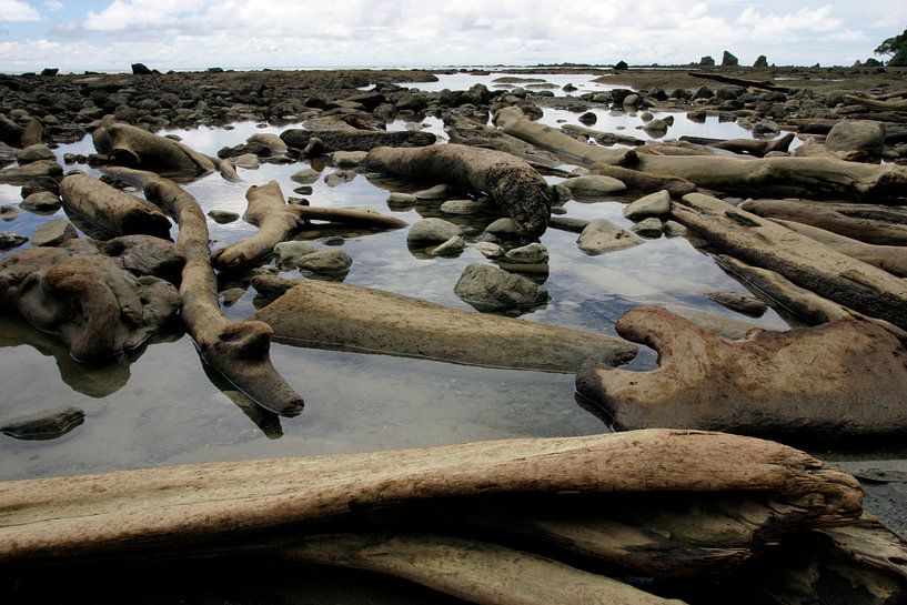 Einde van de wereld - Corcovado, Costa Rica van Peter van der Horst