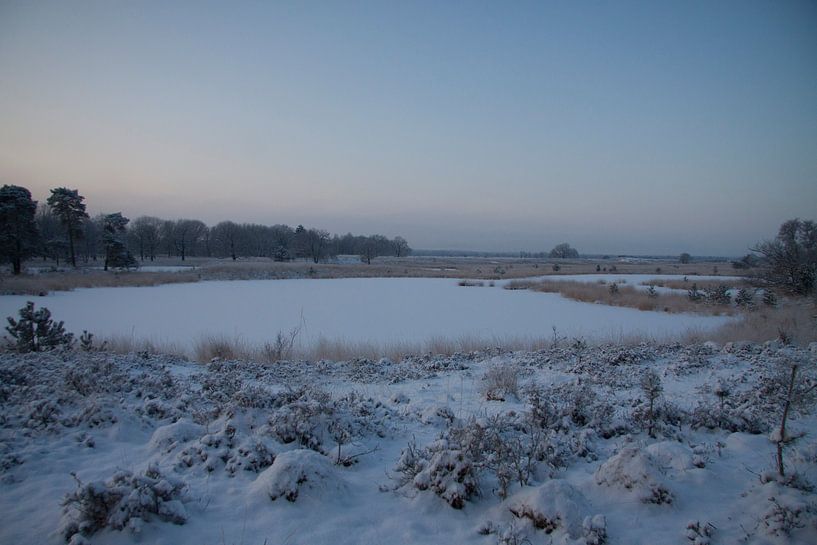 Winters Ven von Jan van der Meer