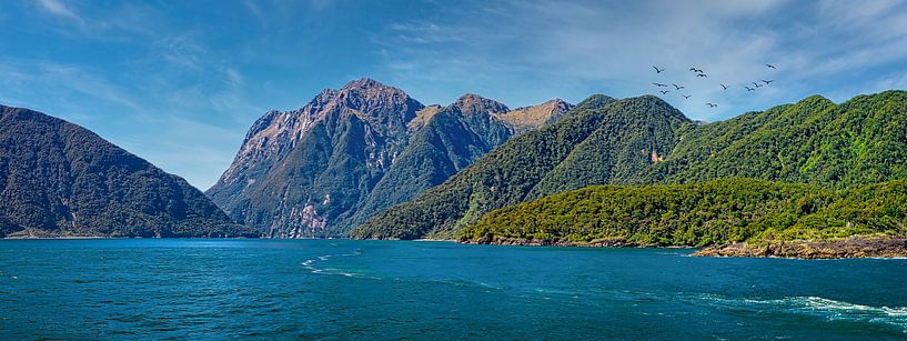 Panorama von Milford Sound, New Zealand von Rietje Bulthuis