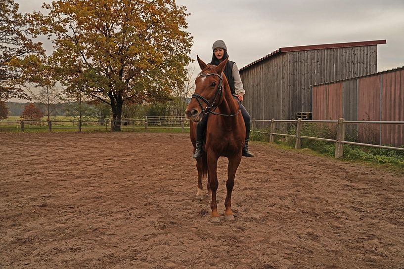 Training mit der rotbraunen Oldenburger Stute auf einem Reitplatz von Babetts Bildergalerie