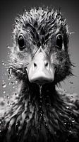 Vogel Portrait in Schwarz-Weiß