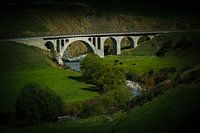 Spoorbrug Zwitserland met koeien, weiland en rivier.