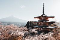 Pagode Chureito enveloppée de Sakura avec le Mont Fuji