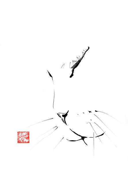 chat blanc 03 par Péchane Sumie