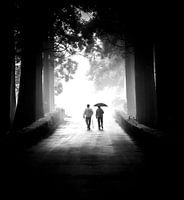 Le chemin vers la lumière