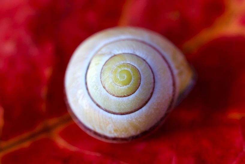 Schwungvoll von Thomas Jäger