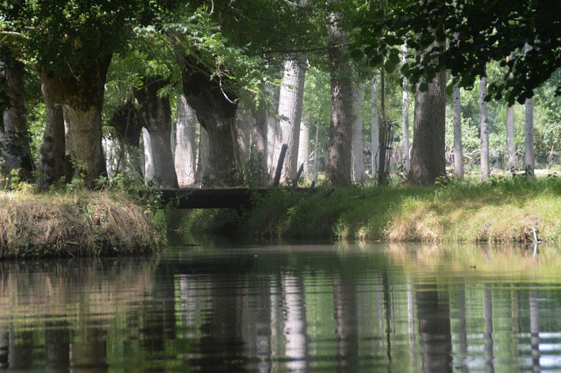 Le Marais  Poitevin by Margriet Adema