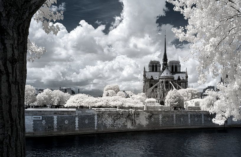 Notre-Dame de Paris von Rainer Pickhard