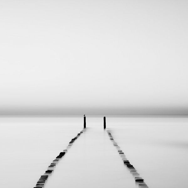 Mono Quadratisch Serie IX von Insolitus Fotografie