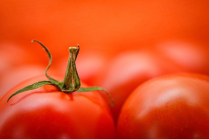 Tomaat von Marco van den Arend