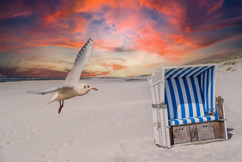Quiet day at the beach by Animaflora PicsStock