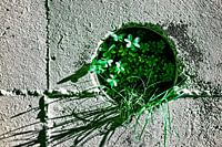 De natuur komt naar je toe