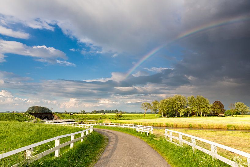 Ein Regenbogen über der Landschaft bei Aduarderzijl in Groningen von Bas Meelker