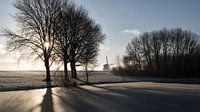 Winterochtend 2